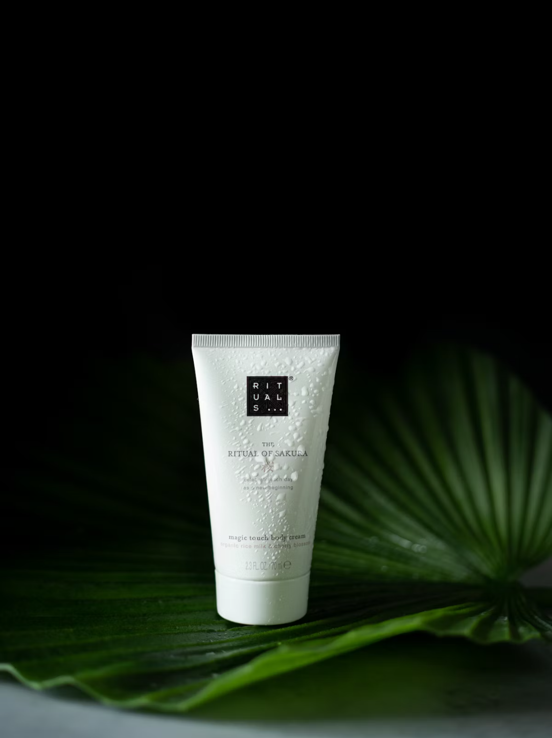 Creative Product Shots